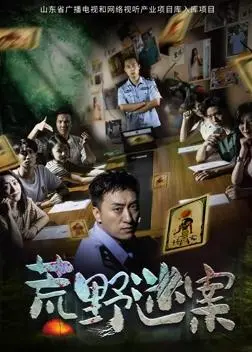 《荒野迷案》影评：步步惊心，揭秘人性深渊的悬疑佳作