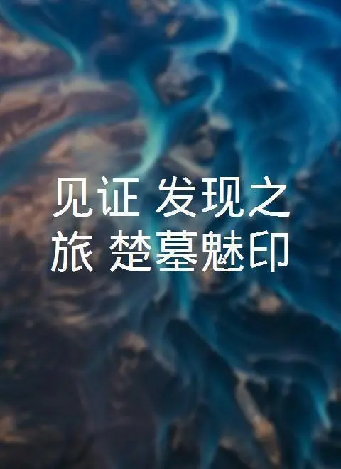 揭秘楚墓千年魅影：《见证·发现之旅》带你探寻古老文明的秘密