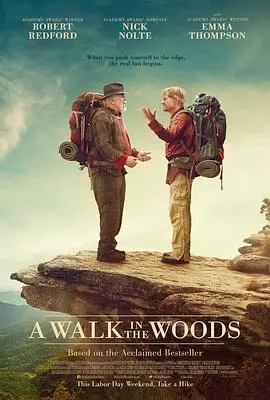 《林中漫步》：一场治愈心灵的徒步之旅，在自然的怀抱中找回自我！