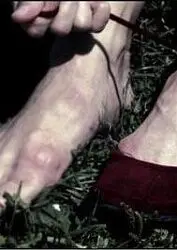 《红鞋子》：舞动欲望与救赎，暗黑童话背后的人性挣扎