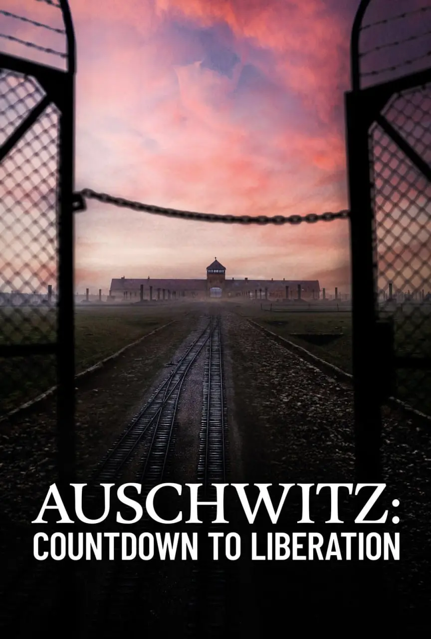 《奥斯维辛：解放倒计时》：揭秘纳粹罪恶，重温历史伤痛，致敬生命之光