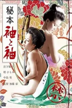 《秘本袖与袖》：古籍里的‘秘本’藏着惊天秘密，这‘袖’里乾坤，我给跪了！