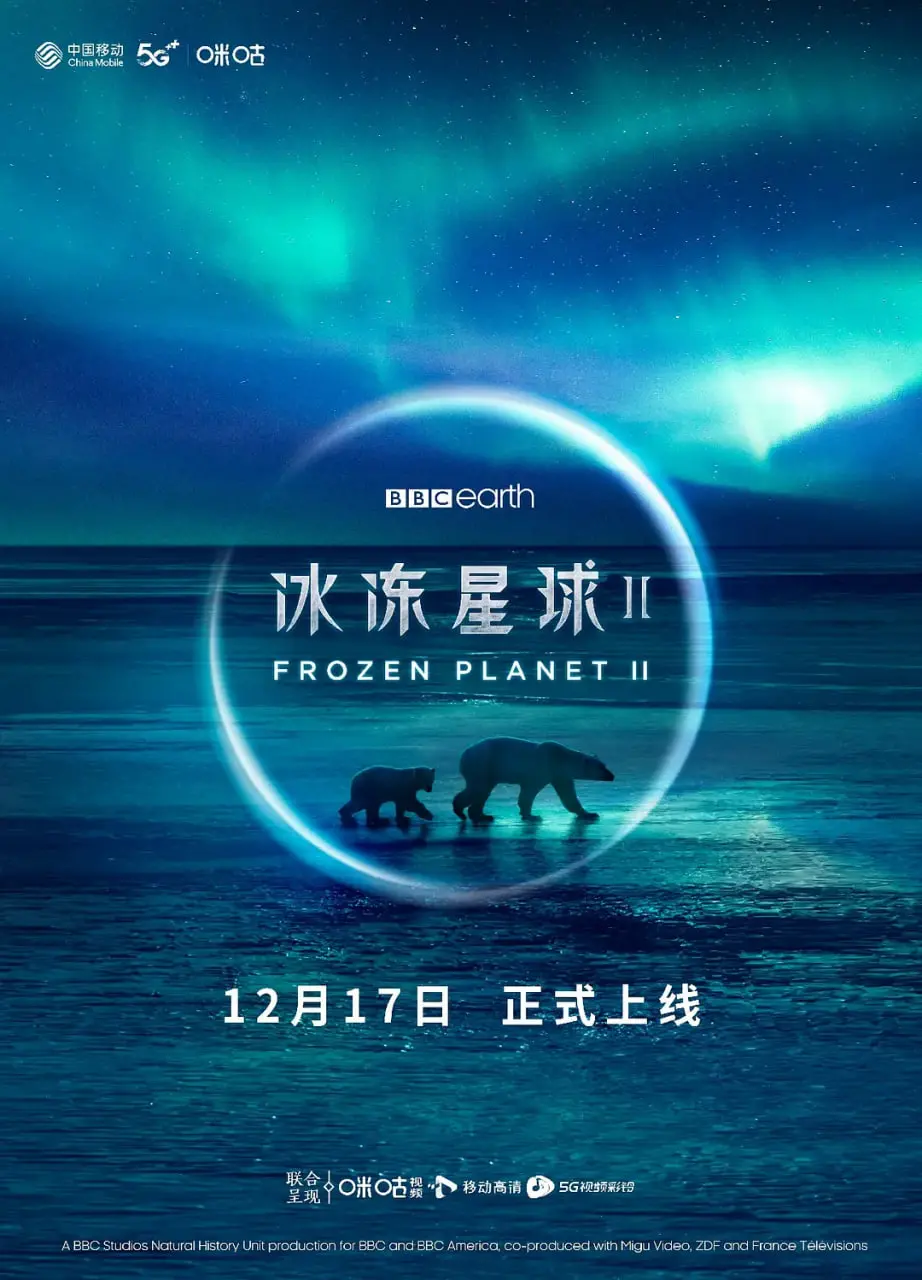 《冰冻星球 第二季》：镜头下的生命奇迹，揭秘极地生存的残酷与温柔，还看艾曼纽2024的别样风情！