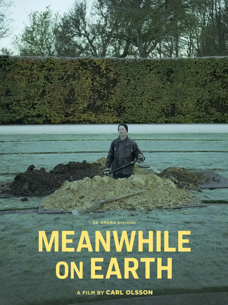 《同在地球上》：一部触及灵魂深处的治愈系纪录片，让我们重新审视生命与连接的意义